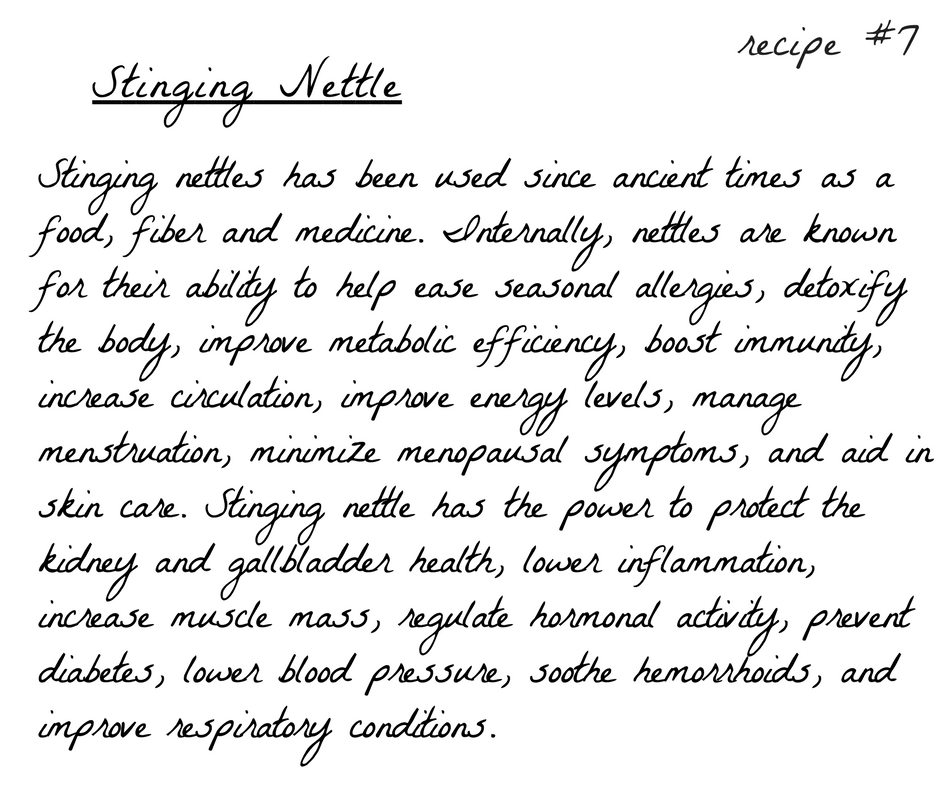 A handwritten recipe for stinging nettles.