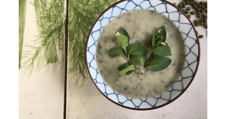 sprouted mungo bean soup