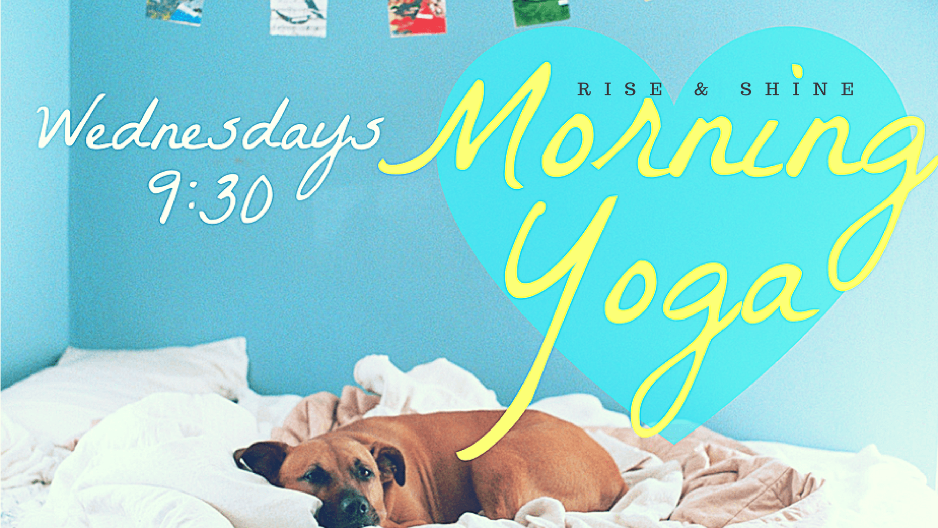 Rise + Shine Morning Yoga